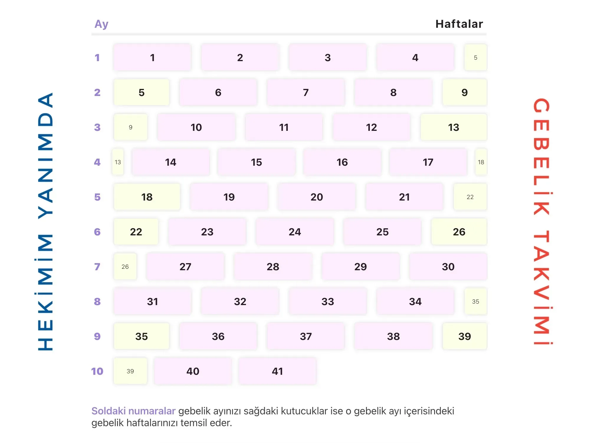 Kaç aylık hamileyim?