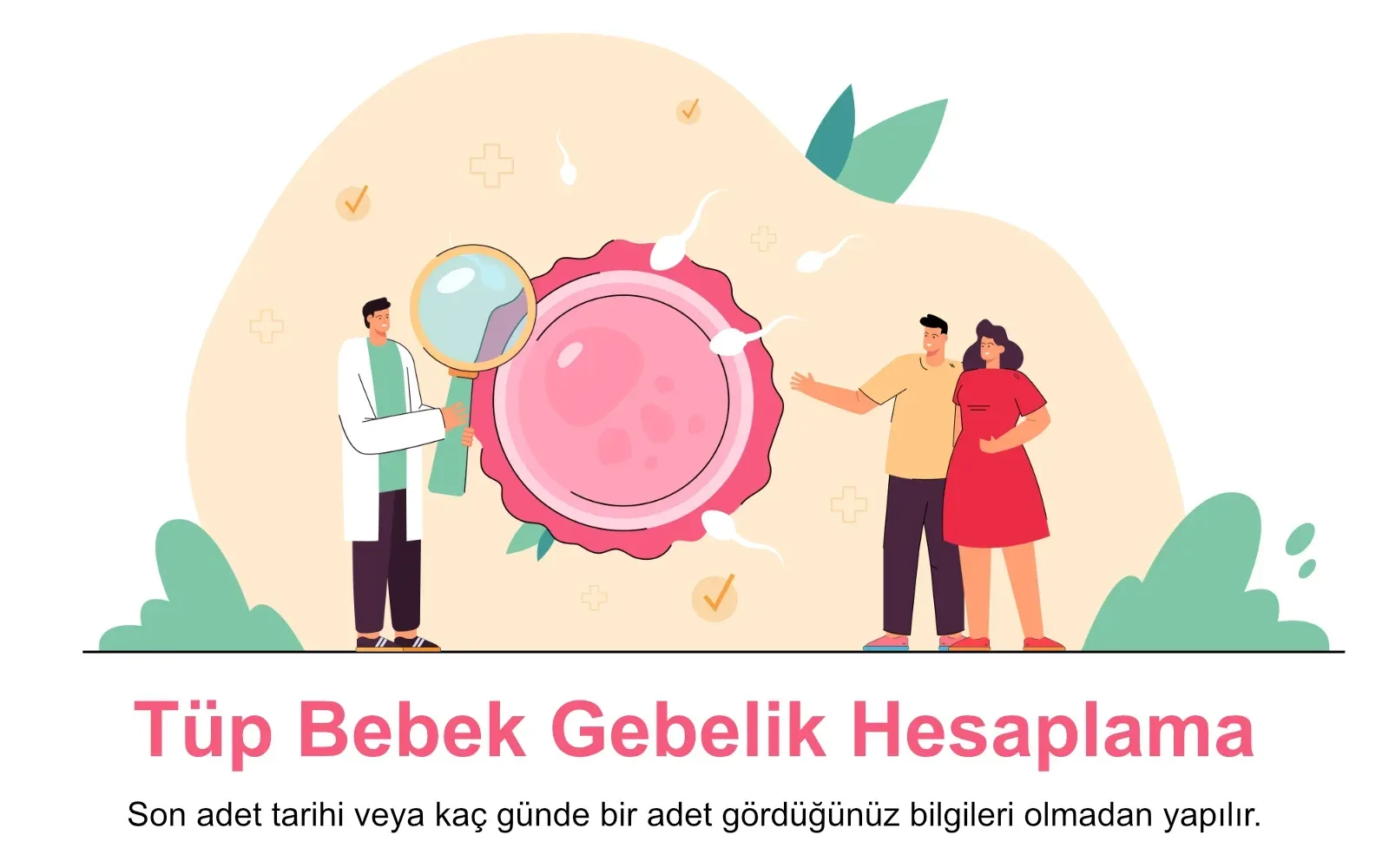 Tüp bebek yöntemine göre hamilelik hesaplama